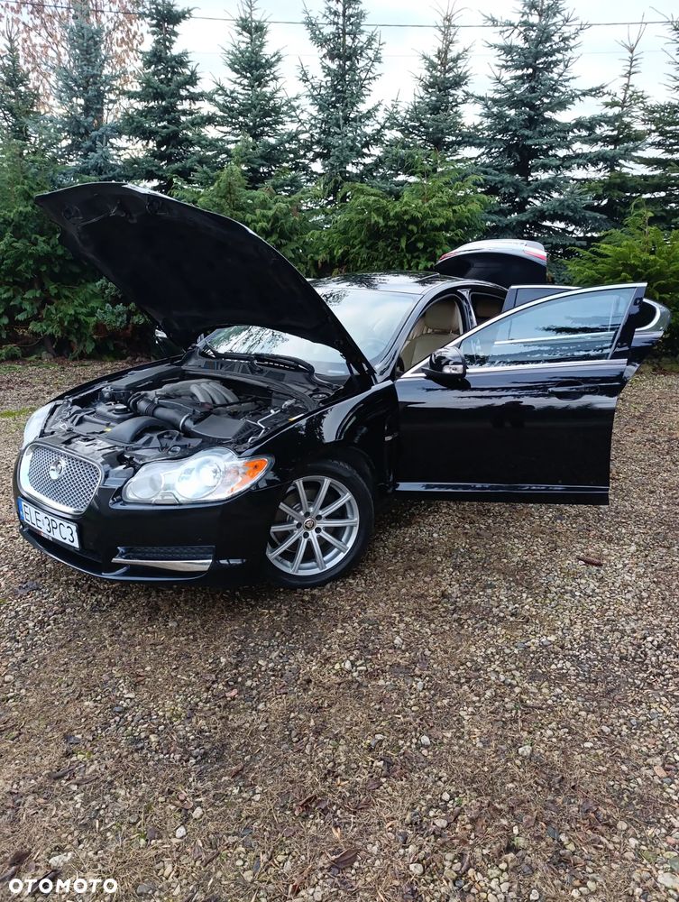 Jaguar XF 3.0 V6 Luxury - 2