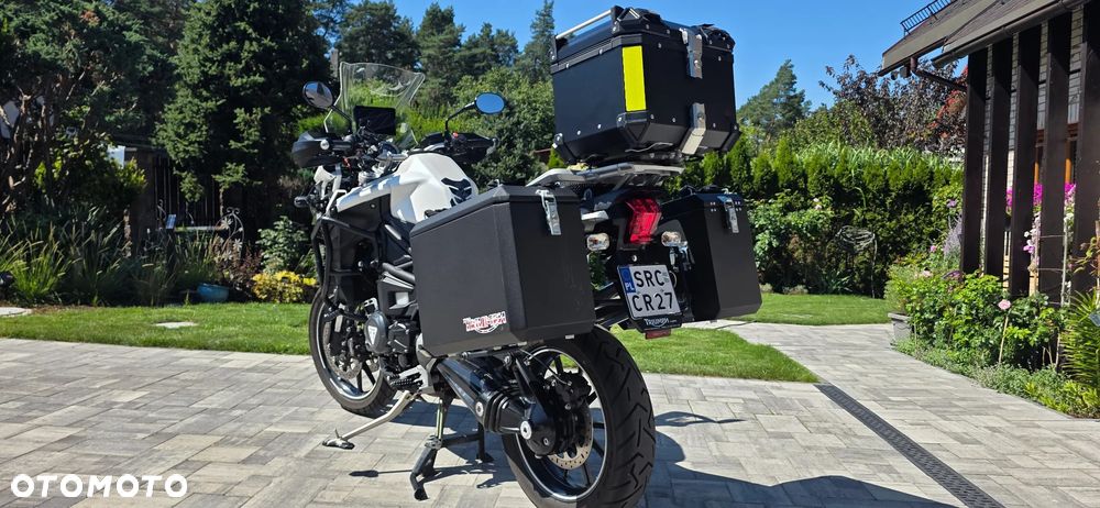 Triumph Tiger - 6