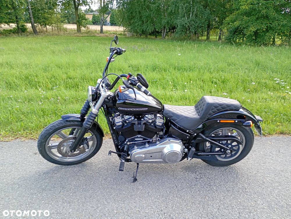 Harley-Davidson Softail Standard - 4