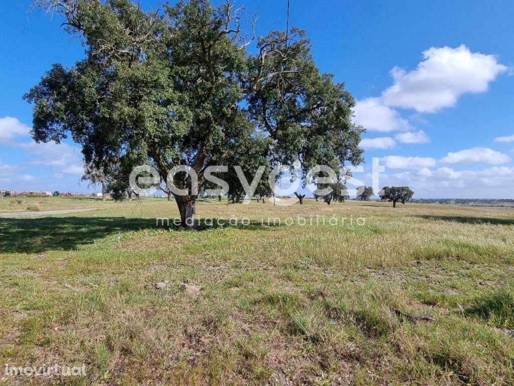 Monte em Ferreira do Alentejo c/ moradia T2 - Beja - Grande imagem: 5/24