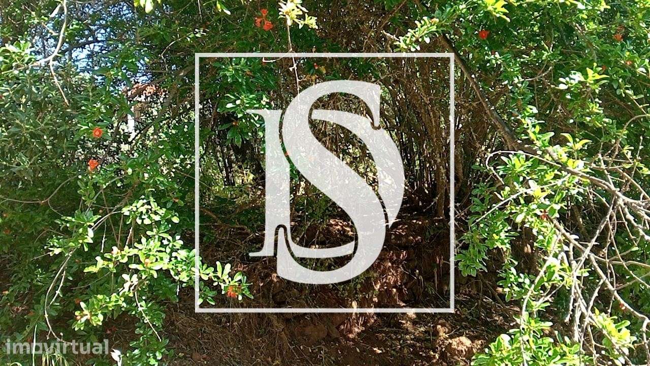 Terreno Rústico  Venda em Salir,Loulé - Grande imagem: 2/5
