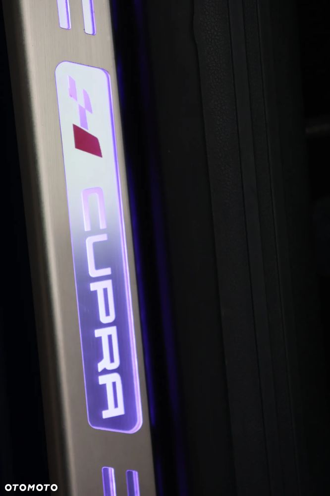 Seat Leon 2.0 TSI Start&Stop DSG Cupra 300 - 16