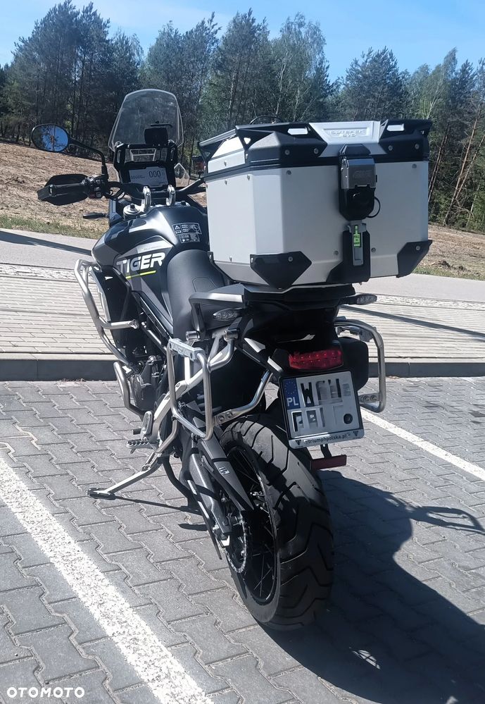 Triumph Tiger - 14