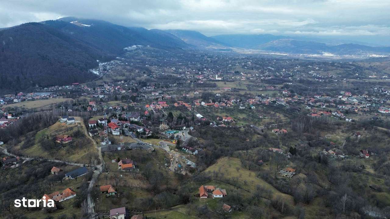 Poza 4