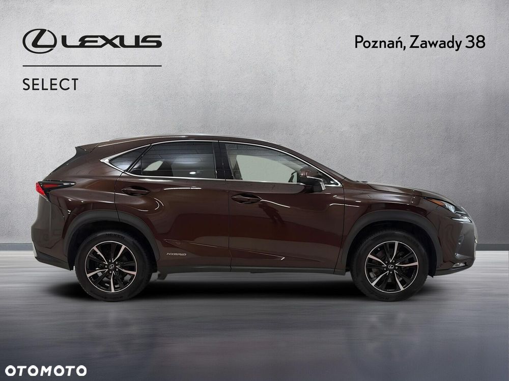 Lexus NX 300h Comfort AWD - 5