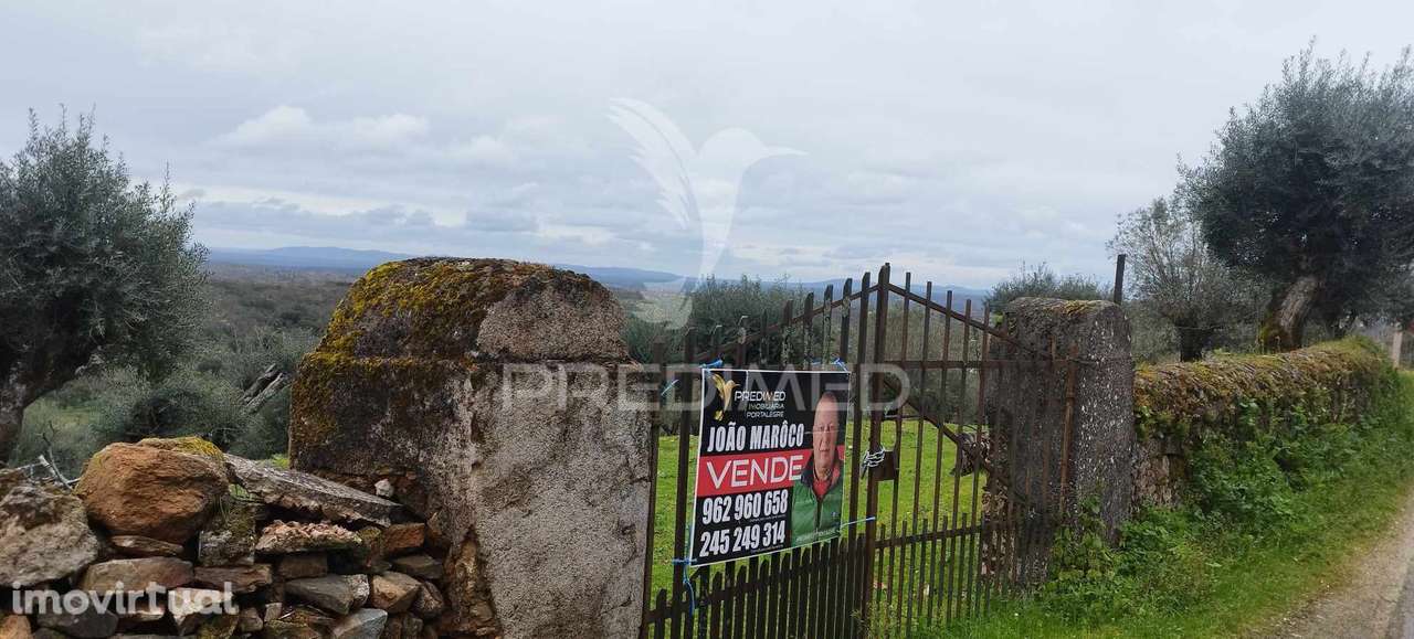 Olival - Grande imagem: 3/6