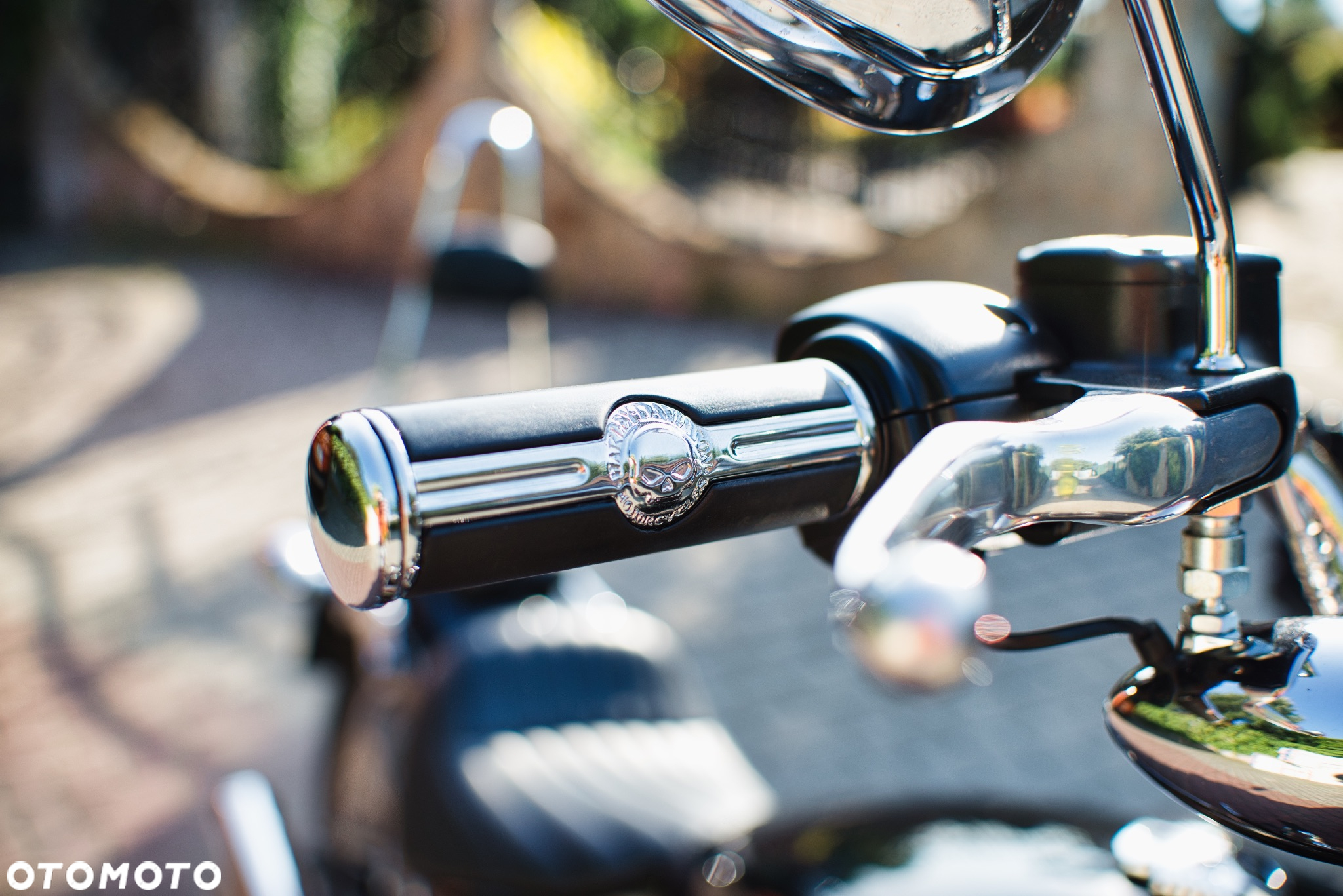 Harley-Davidson Softail Standard - 9