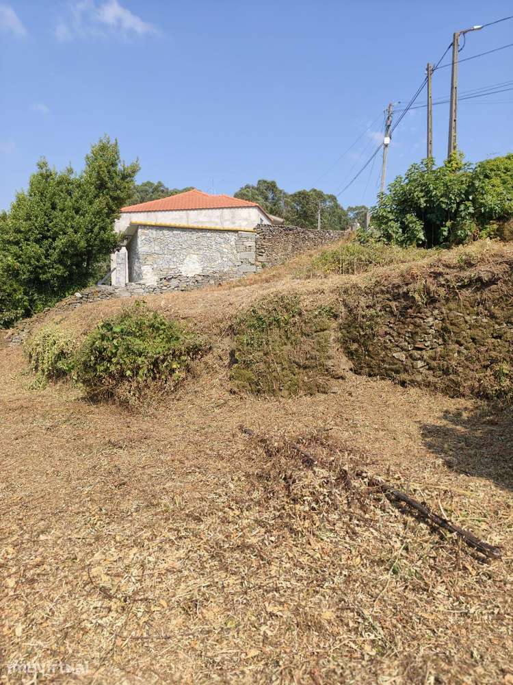 Terreno para construção | 500m2 | PIP em aprovação | Agrela | Santo Ti - Grande imagem: 5/21