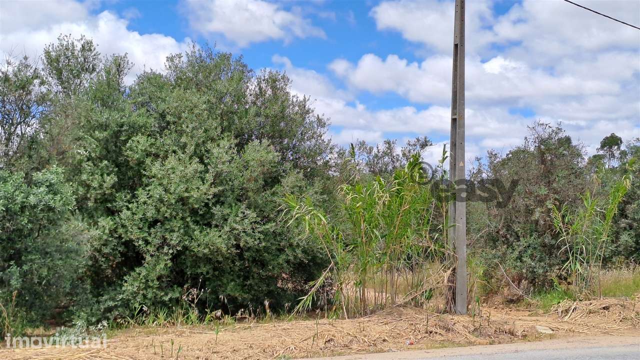Terreno Rústico para Venda em Vidigueira, com 6 750 m². - Grande imagem: 4/10