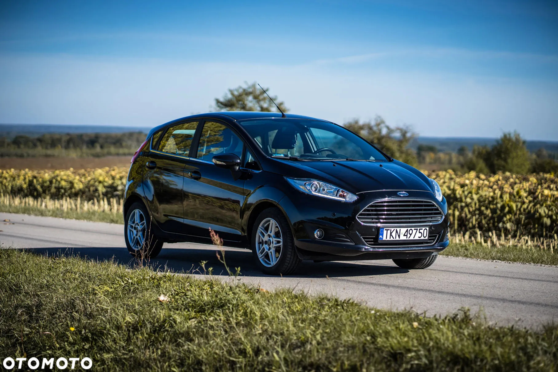 Ford Fiesta 1.6 TDCI Titanium - 12