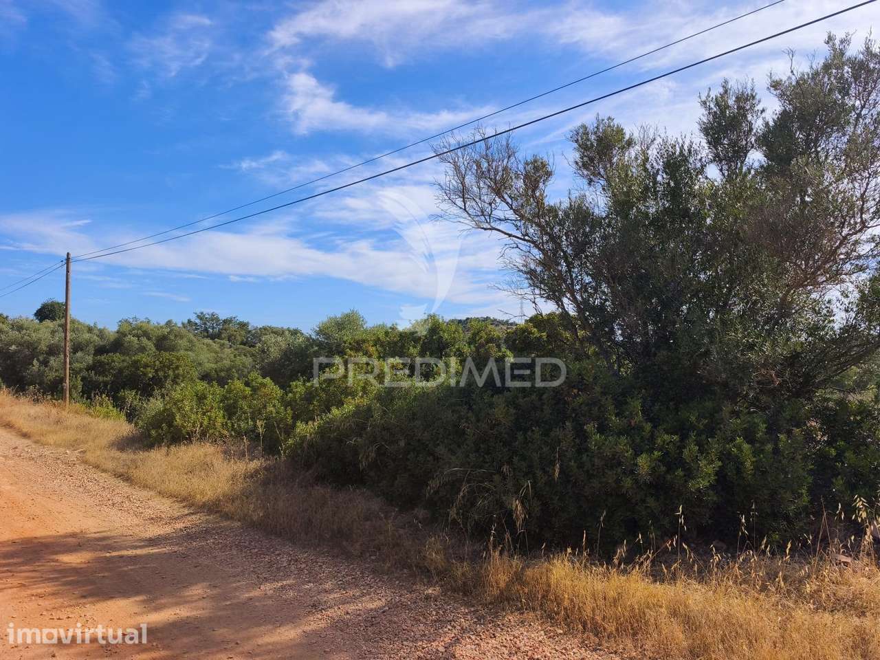 Albufeira-Paderne - Terreno Rustico 30.080m2 - Grande imagem: 5/16