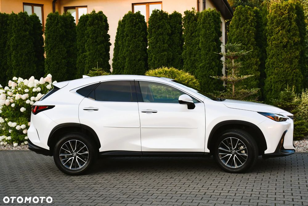 Lexus NX - 16