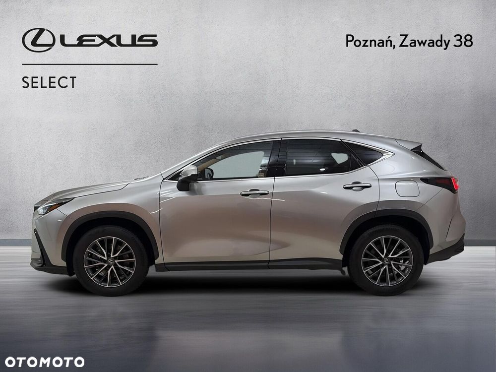 Lexus NX - 6