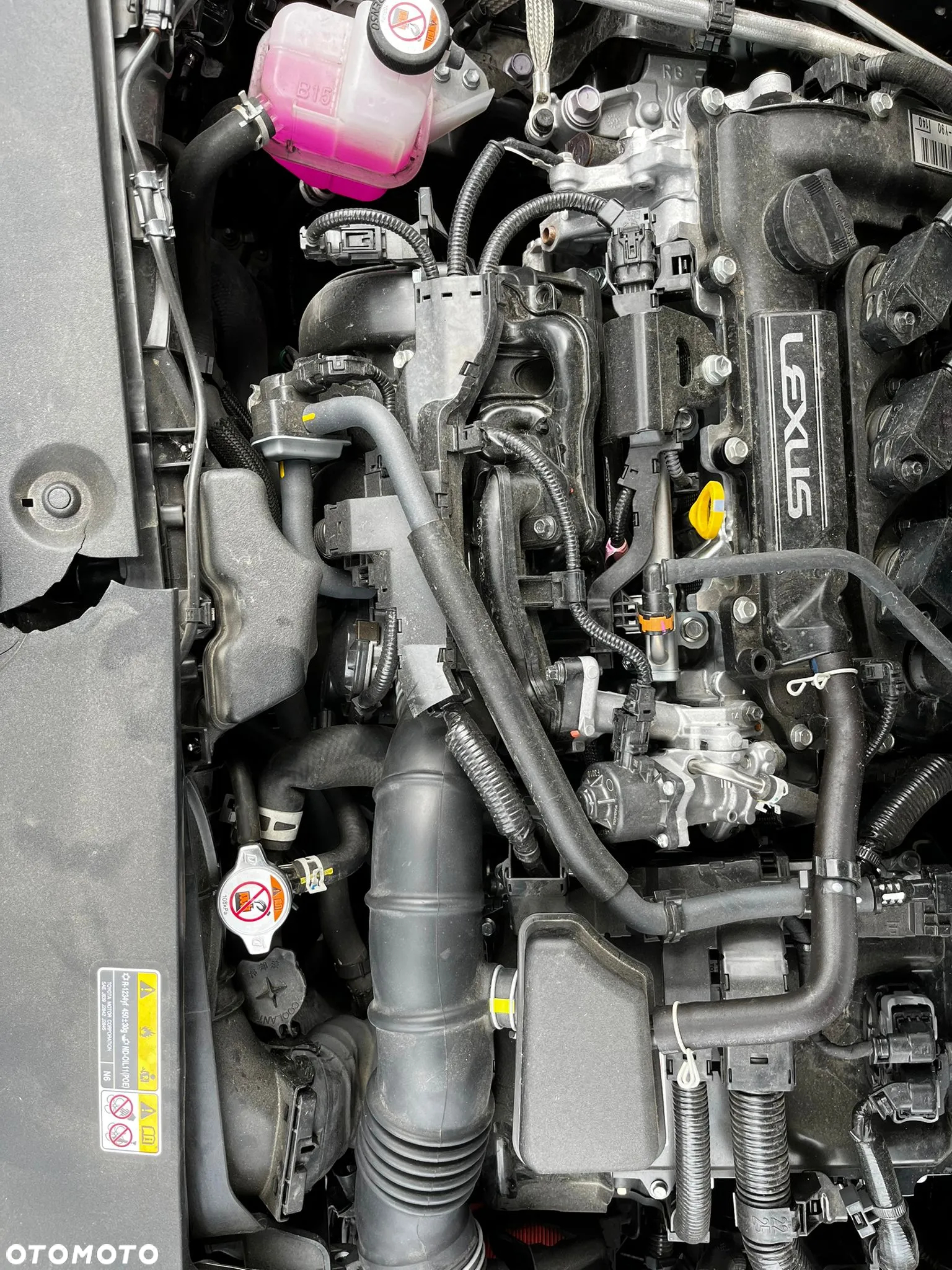 Lexus LBX - 15
