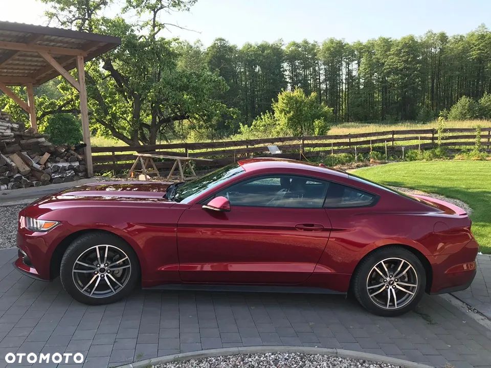 Ford Mustang 2.3 EcoBoost - 10