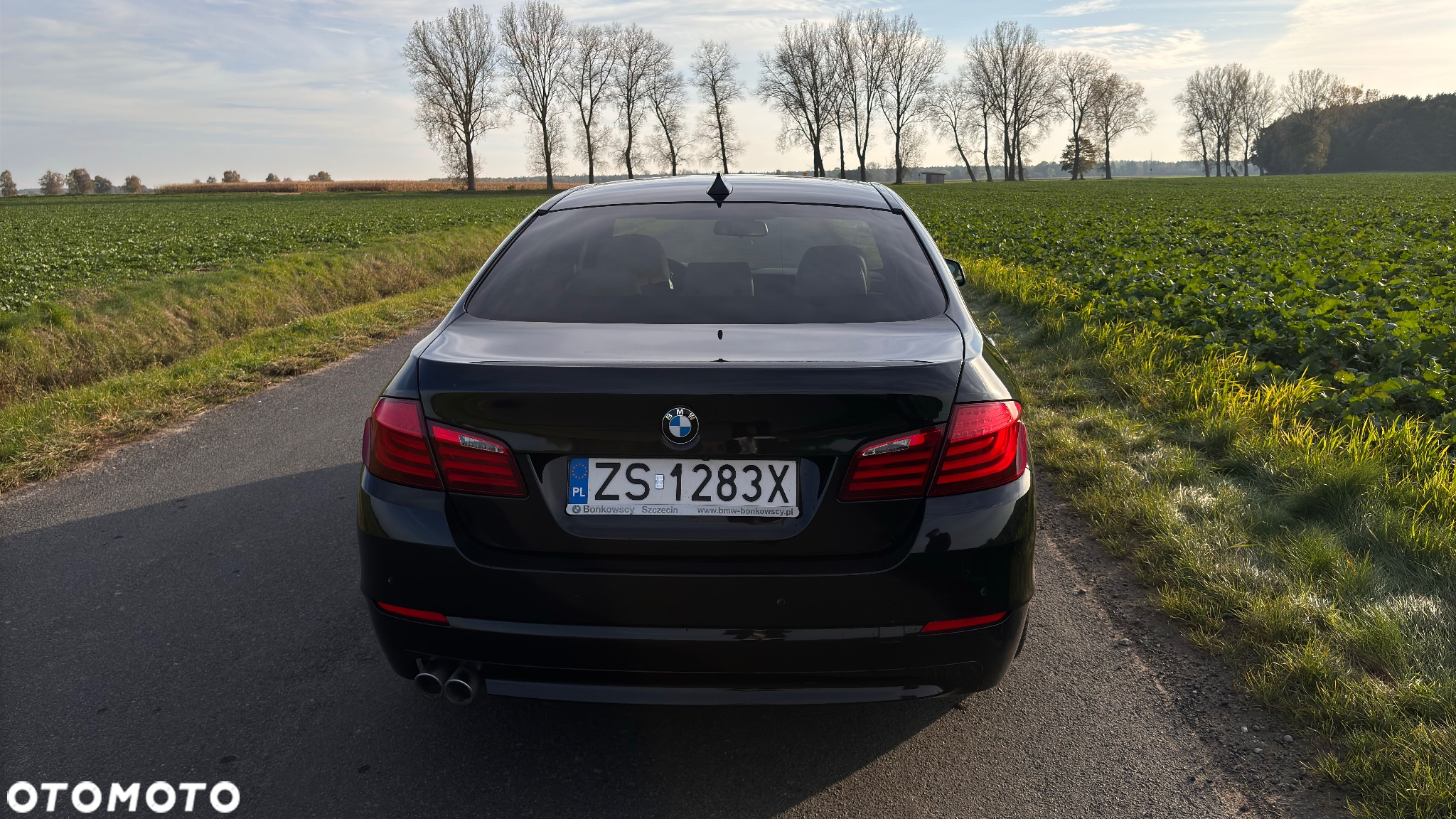 BMW Seria 5 - 4