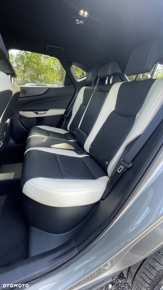 Lexus NX - 10