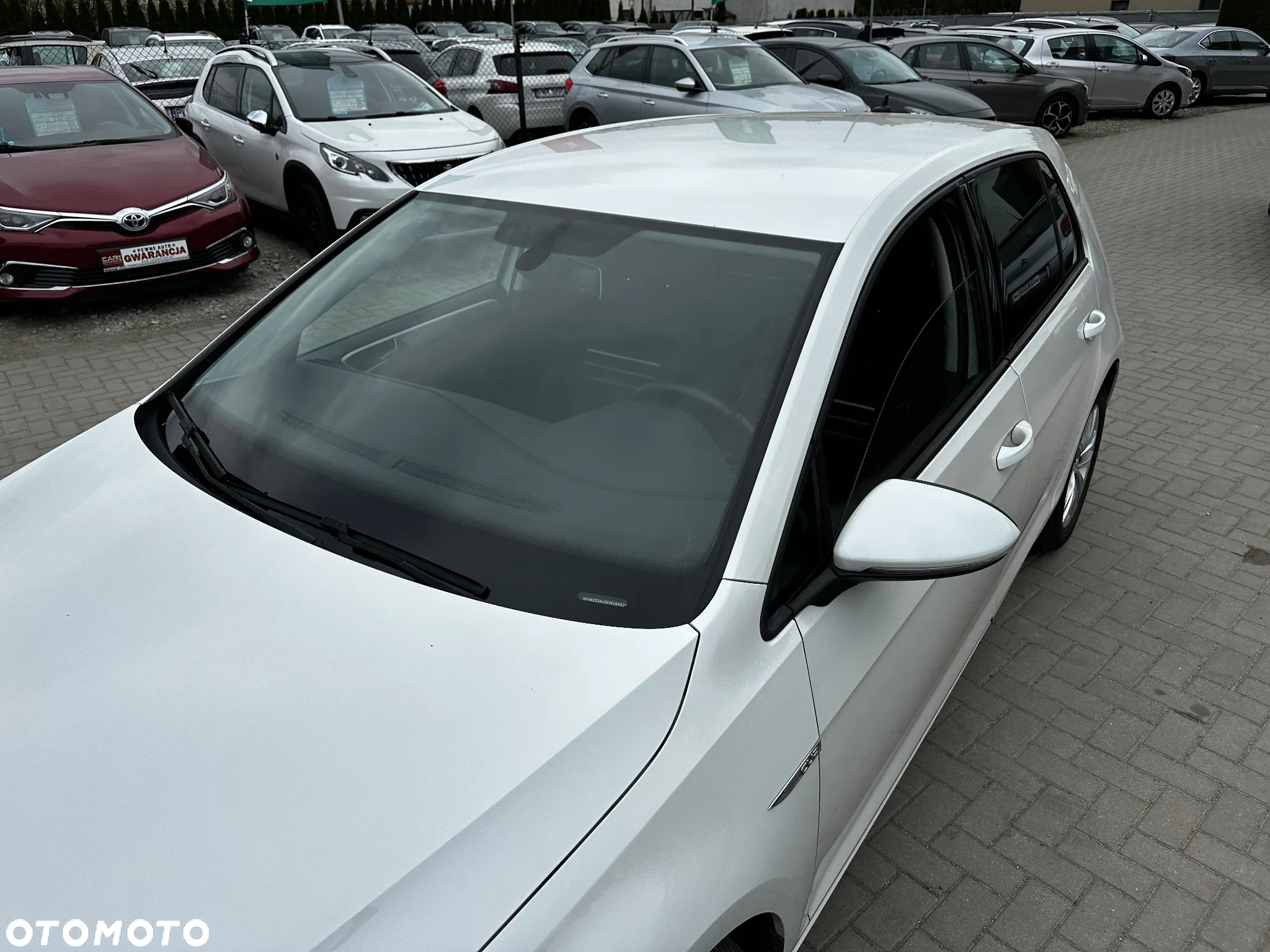 Volkswagen Golf - 33