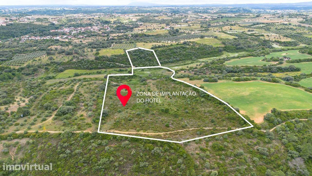 TERRENO COM 50.000M2 EM SANTARÉM - Grande imagem: 4/33