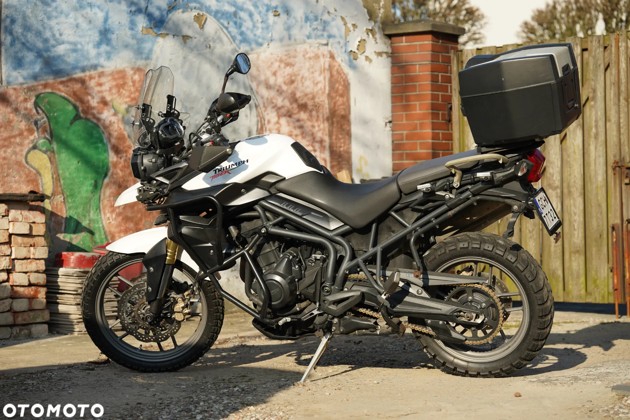Triumph Tiger - 8