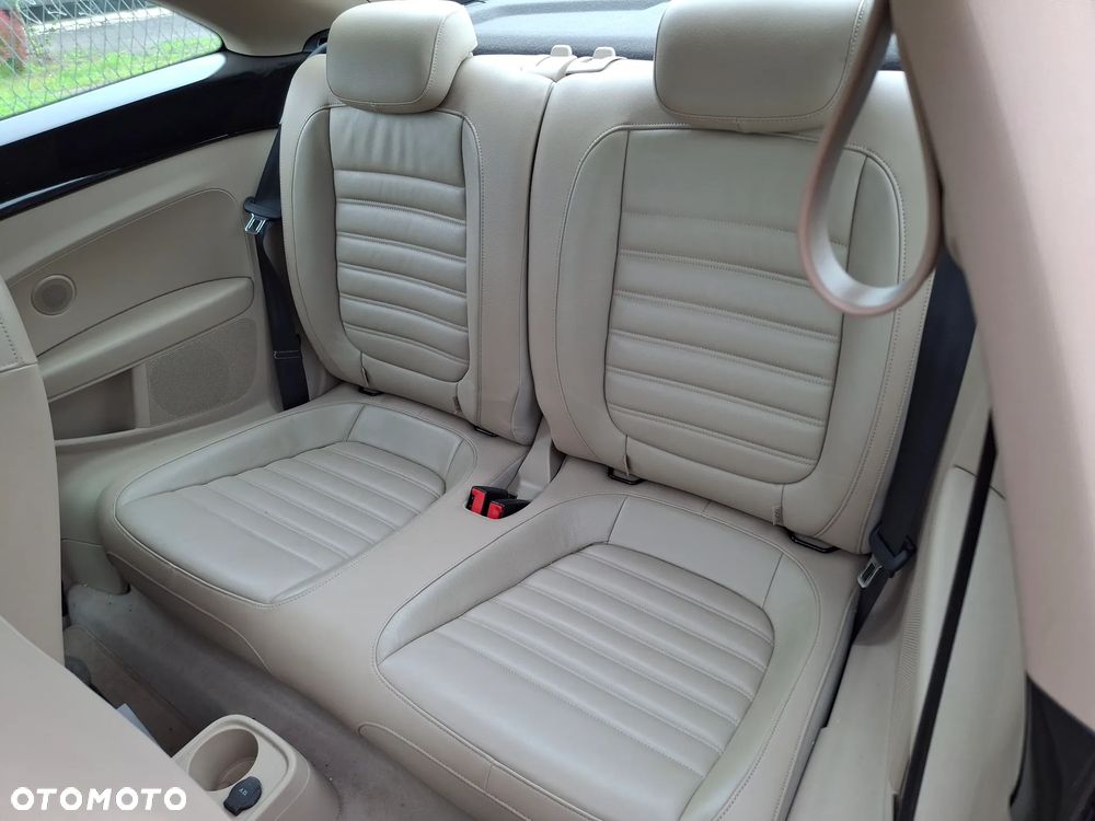 Volkswagen Beetle - 19