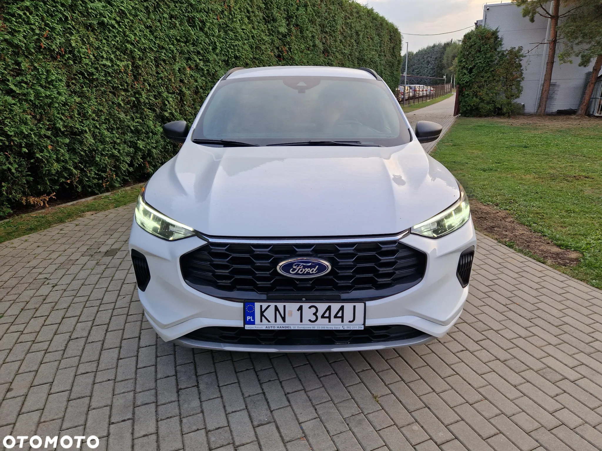 Ford Kuga - 3