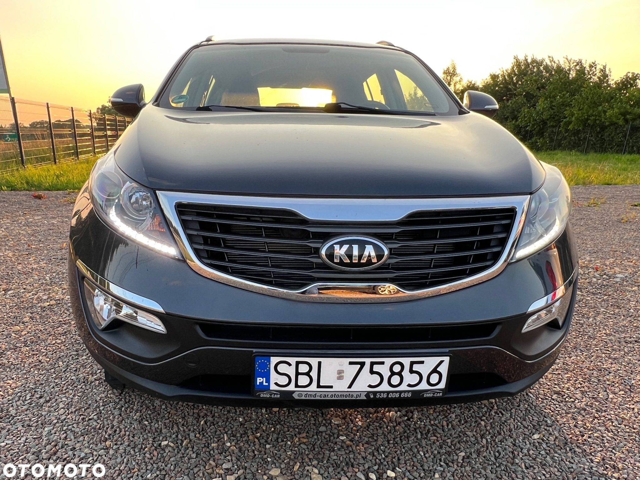 Kia Sportage 1.6 GDI Business Line 2WD - 2