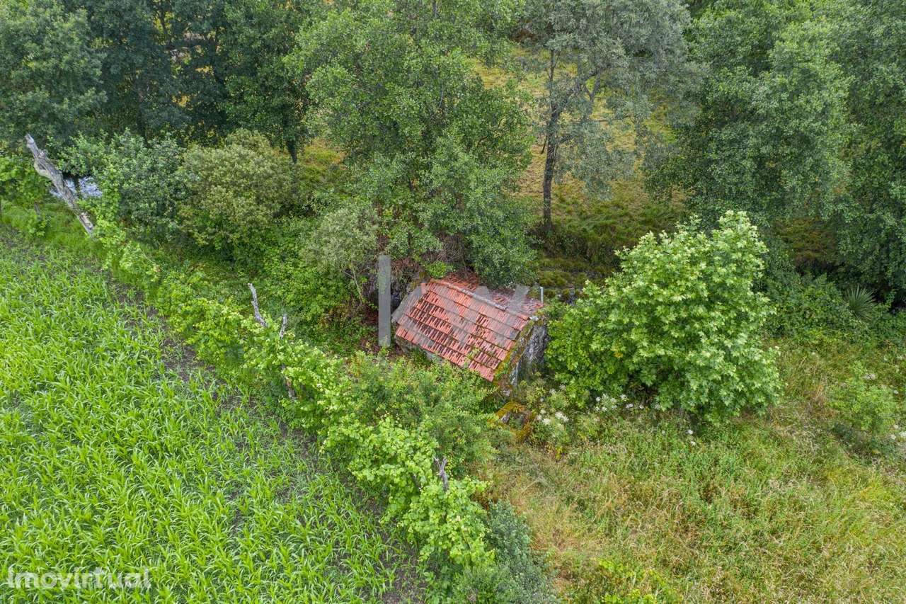 Alpendre, Palheiro, Moinho e Terreno de Cultivo em Asnela  - Cabeceira - Grande imagem: 4/19