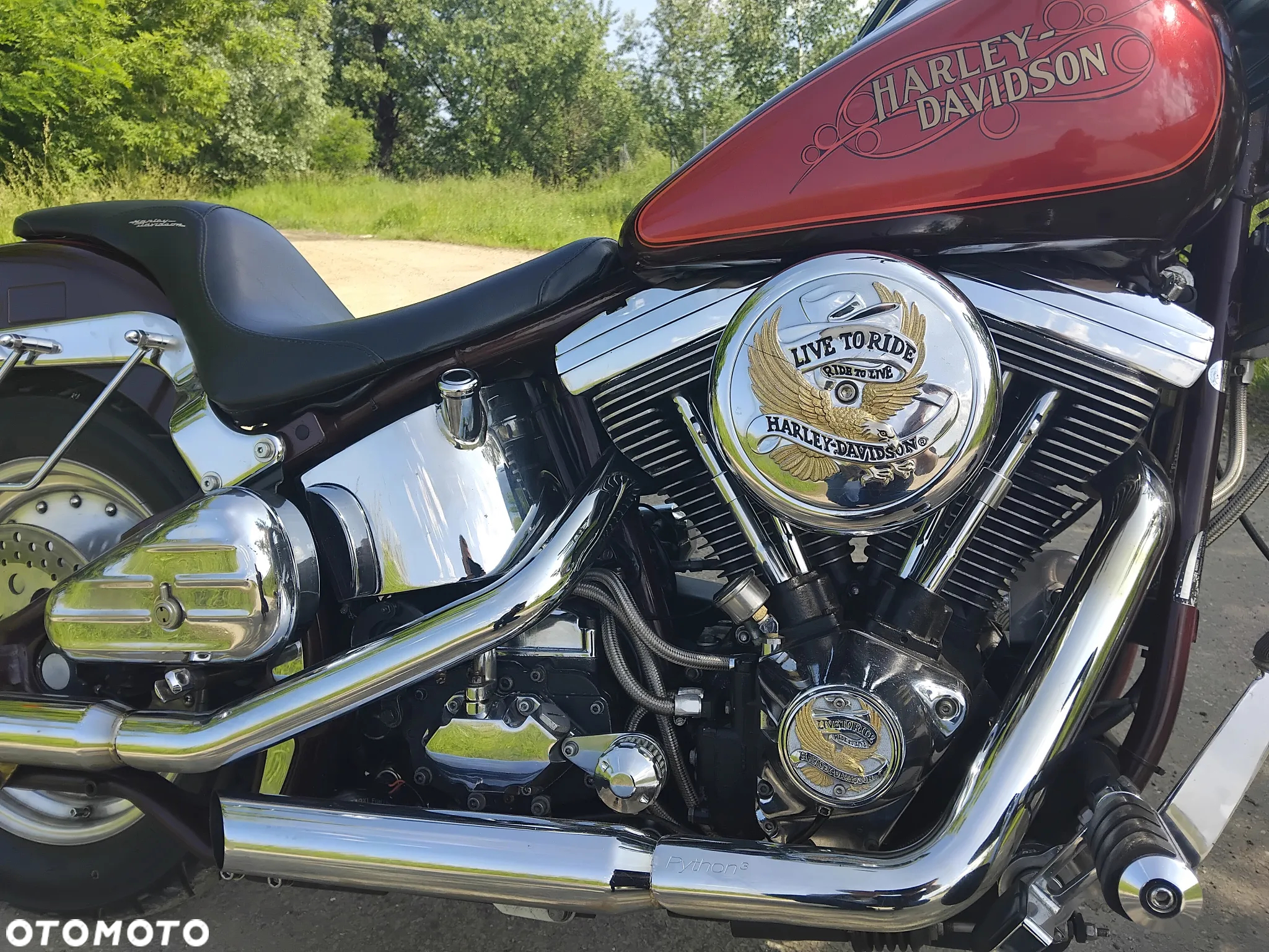 Harley-Davidson Softail - 10