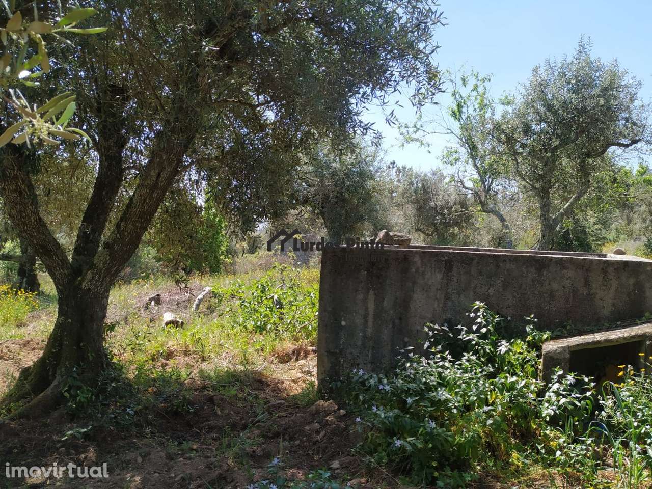 Terreno em Palvarinho - Grande imagem: 3/13