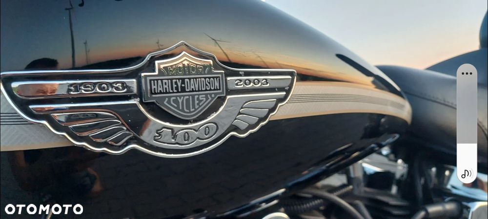 Harley-Davidson Softail - 3