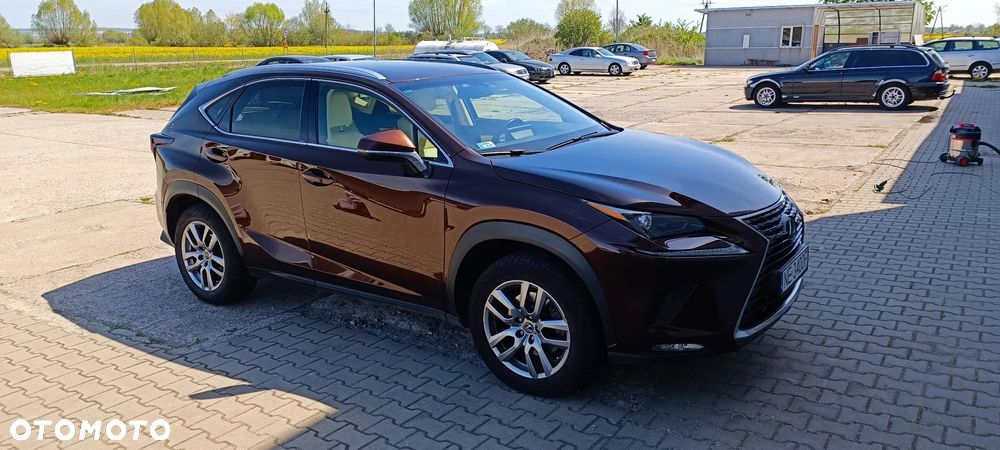 Lexus NX 300 Elegance AWD - 1