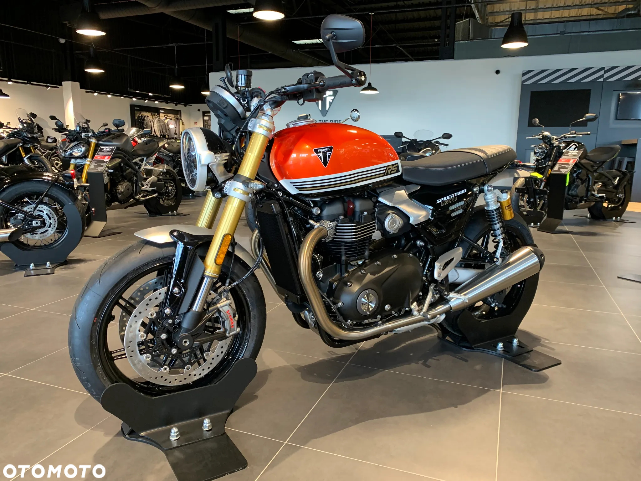 Triumph Speed Twin - 4