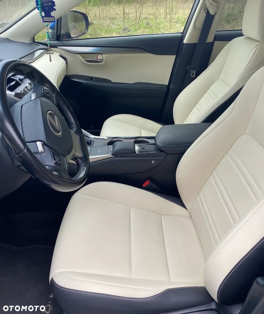 Lexus NX 300 Business Edition AWD - 12