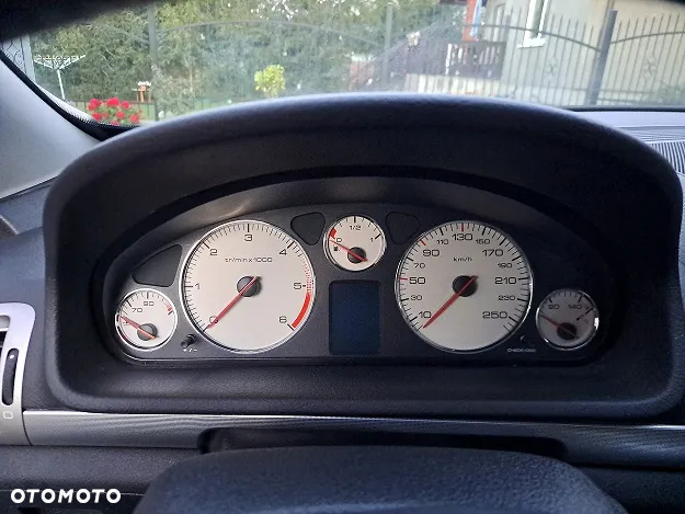 Peugeot 407 2.0 HDI Premium - 20