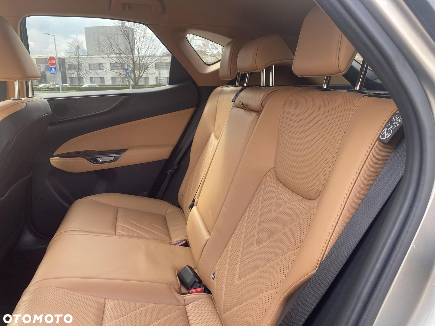 Lexus NX - 14