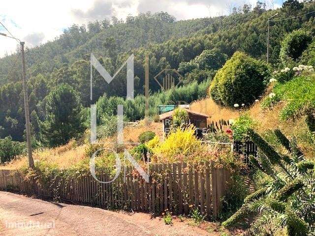 Terreno 1906m2 | com vista | zona sossegada | Santa maria Maior | Func - Grande imagem: 2/8