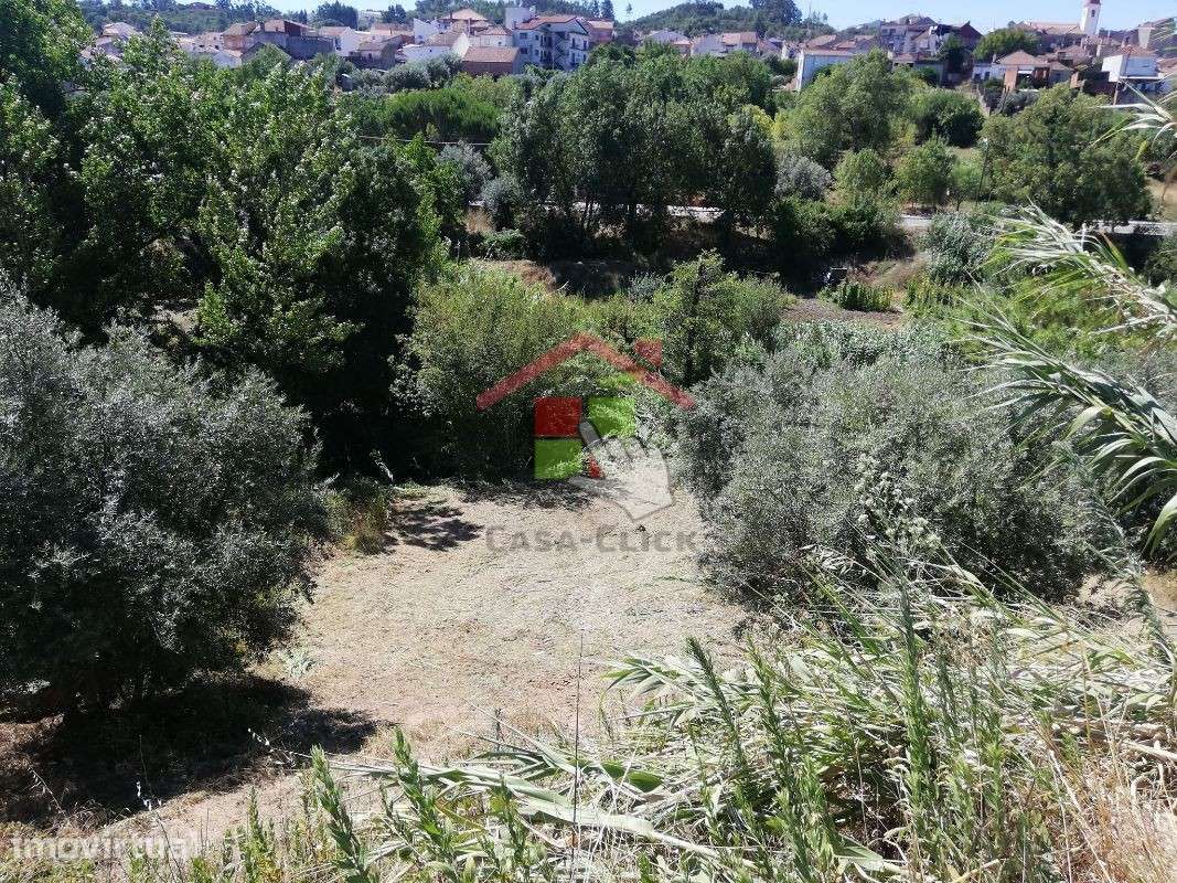 Terreno T3 Venda em Amiais de Baixo,Santarém - Grande imagem: 2/11