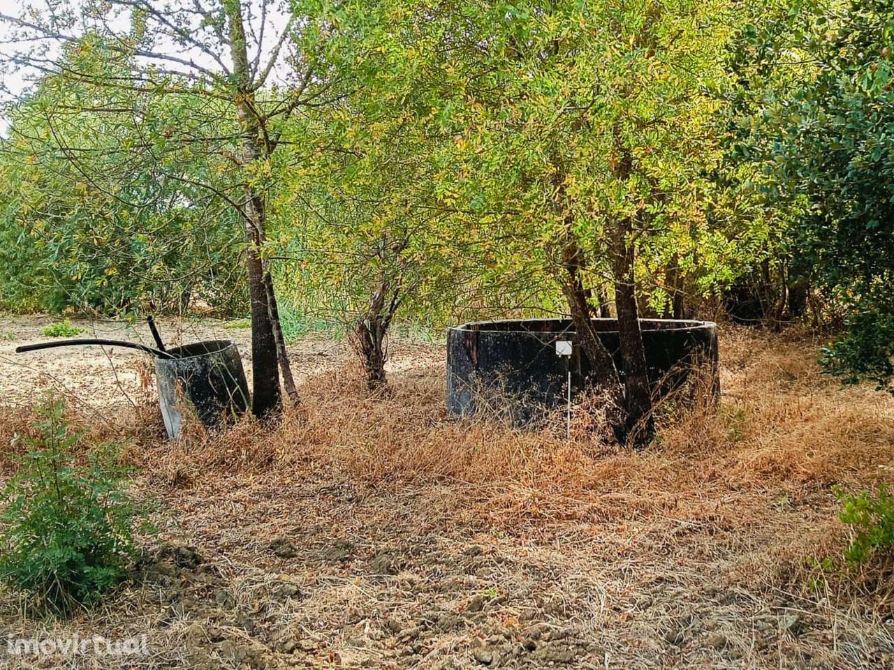 Moradia com terreno para recuperar - Grande imagem: 4/17