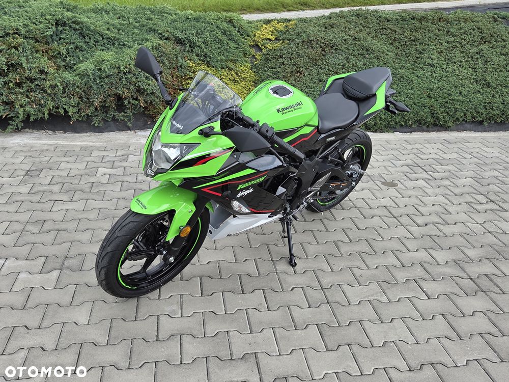Kawasaki Ninja - 26