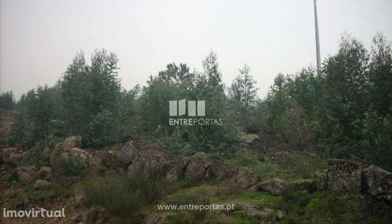 Venda Terreno, Várzea do Douro, Marco de Canaveses - Grande imagem: 2/12