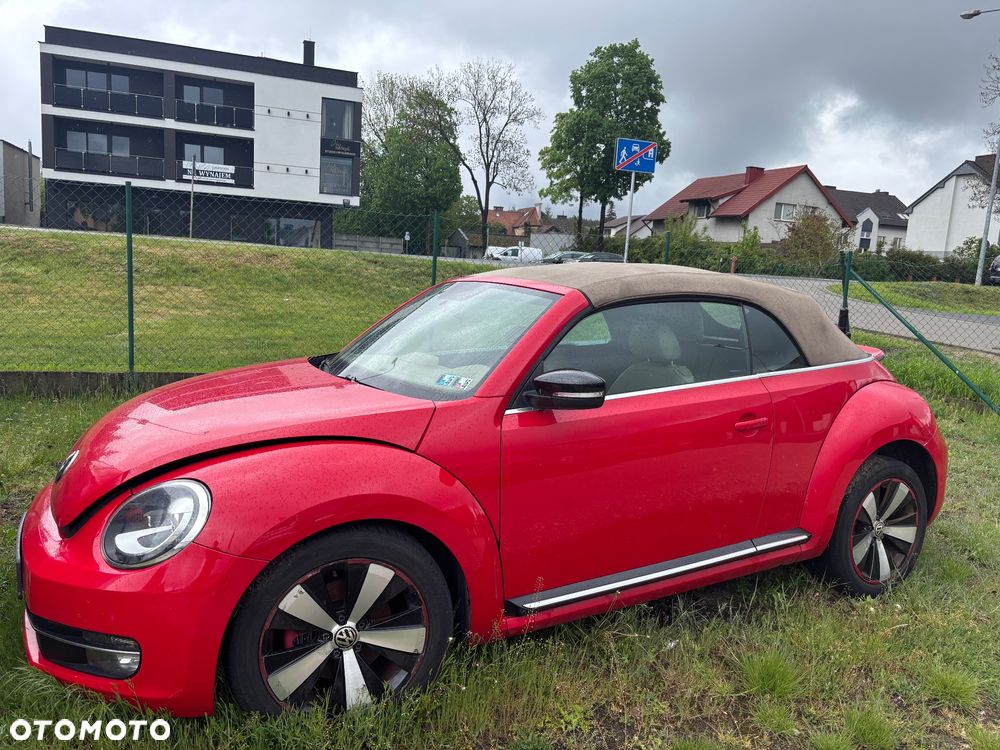 Volkswagen Beetle - 1