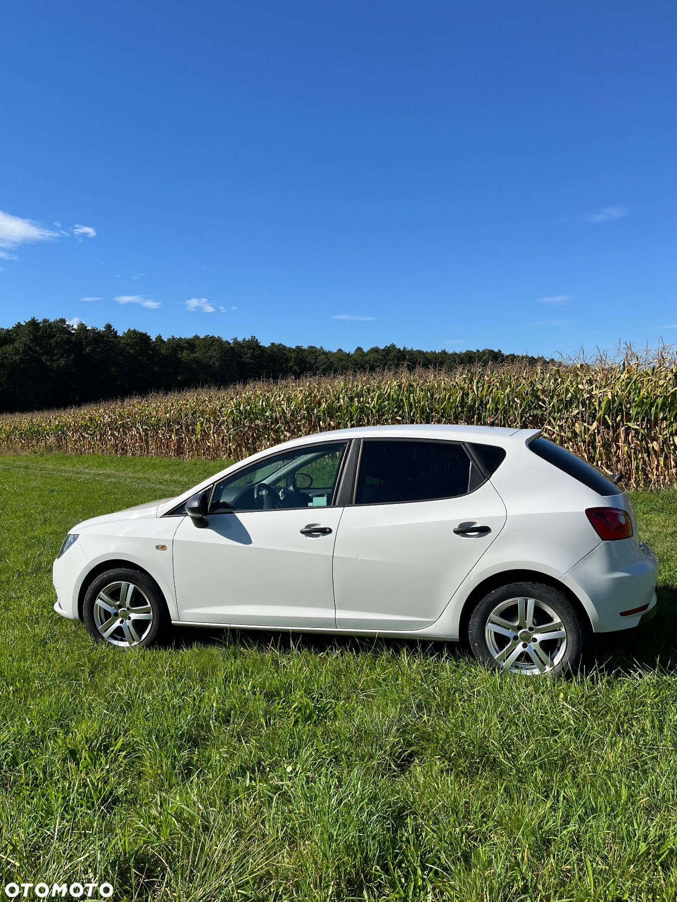 Seat Ibiza 1.0 Reference - 8