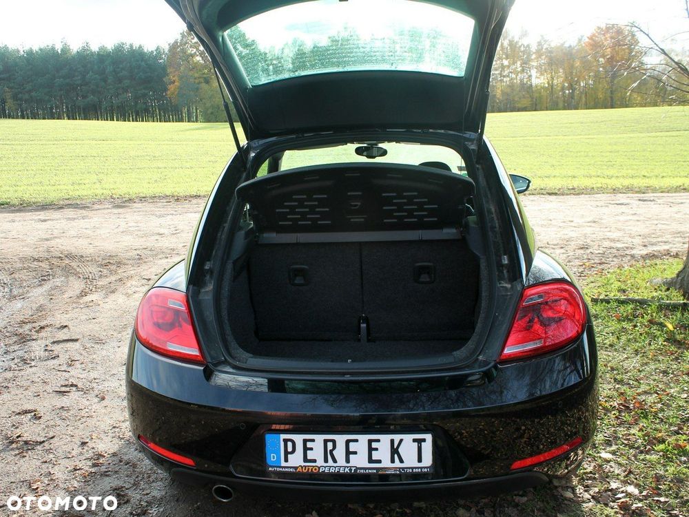 Volkswagen Beetle - 30