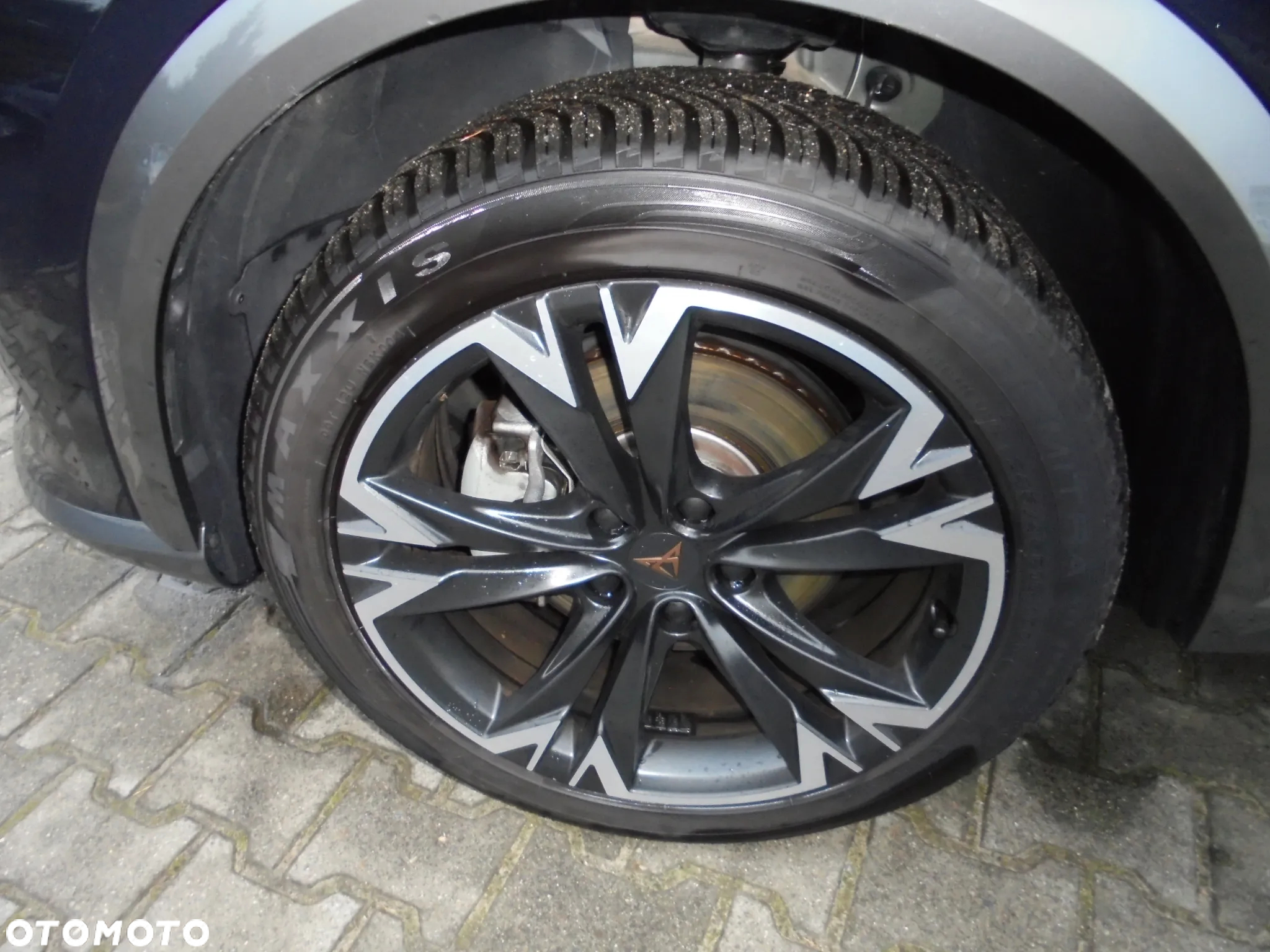 Cupra Formentor 1.5 TSI DSG Tribe Edition - 23