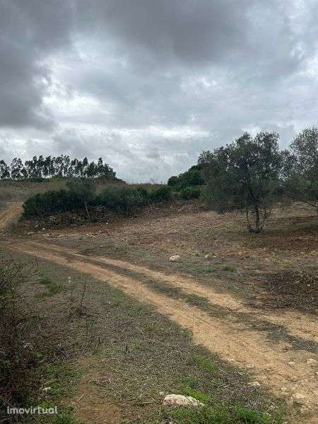 Quinta em Alenquer cabecos - Grande imagem: 3/7