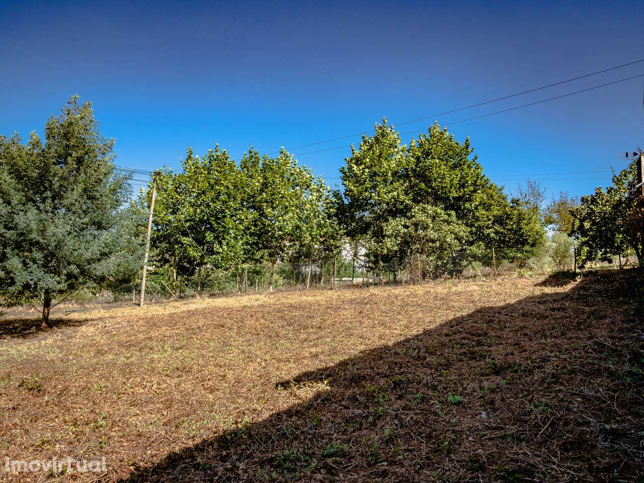 Terreno para construção de moradia isolada, Oiã, Oliveira do Bairro - Grande imagem: 5/11