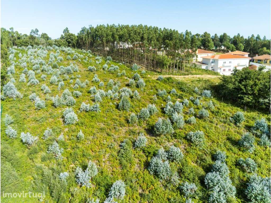 Terreno com área de 7706m2, para construção de 14 moradias em Nogue... - Grande imagem: 2/15