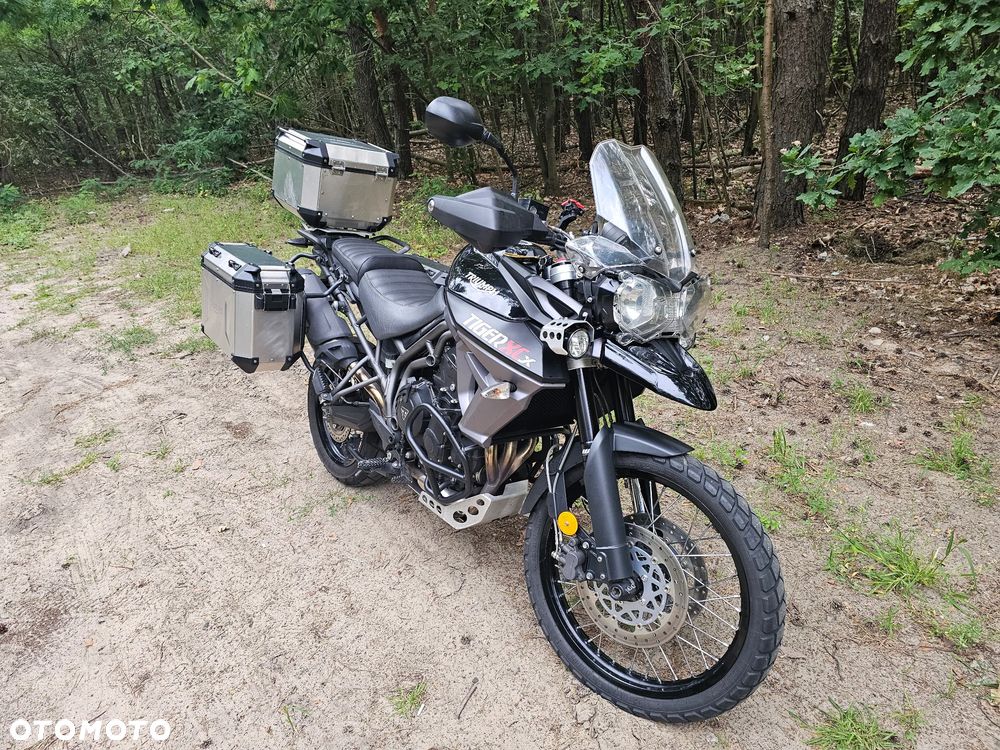 Triumph Tiger - 2