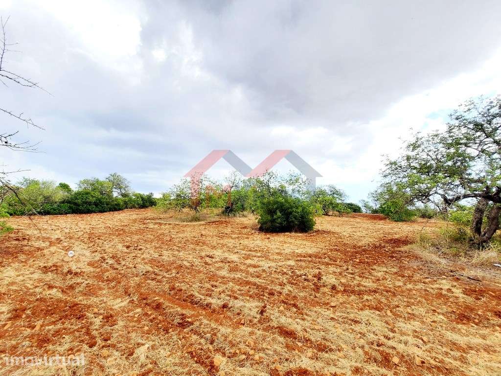 Terreno para construção - Almancil - Grande imagem: 3/4